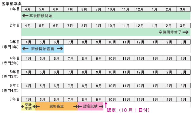 専門医認定までのタイムスケジュール
